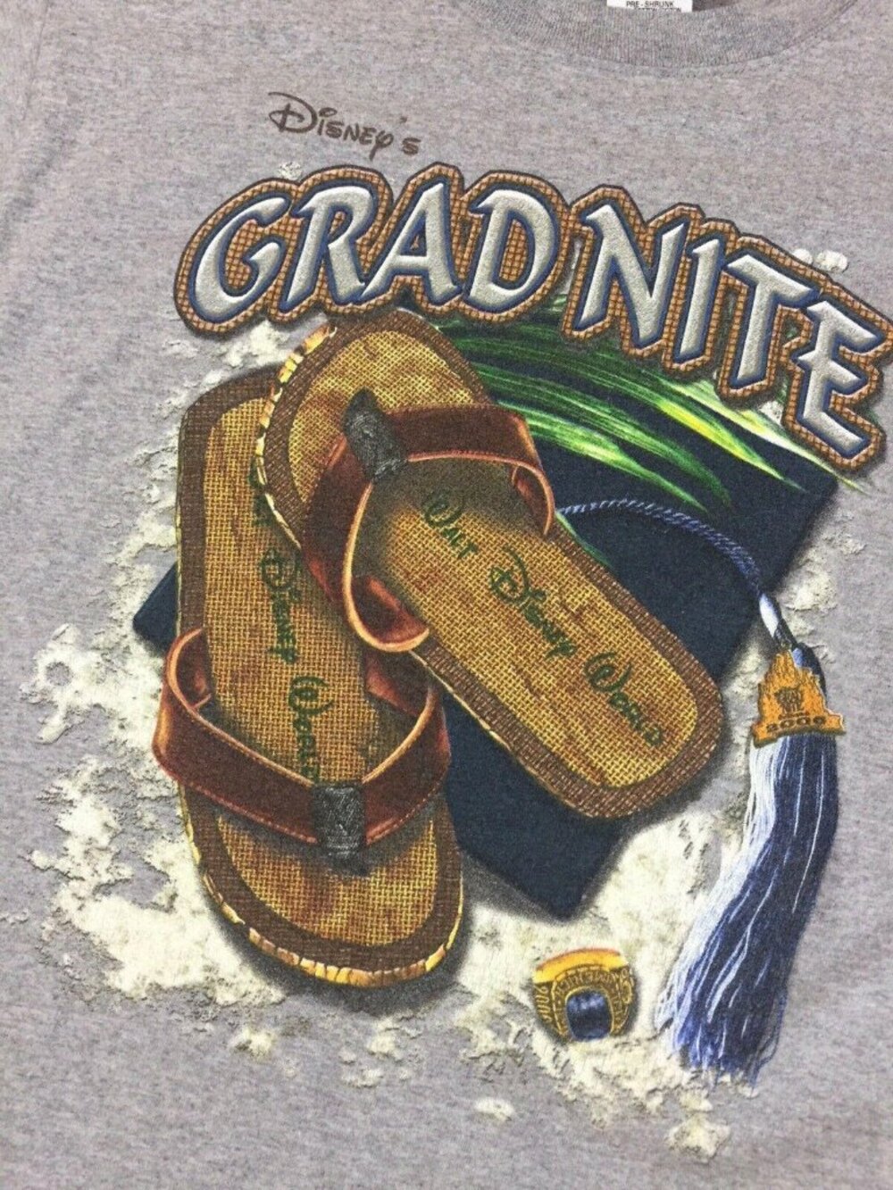 Disney World Parks Grad Nite 2006 Size M Medium Tee Shirt T-Shirt Gray